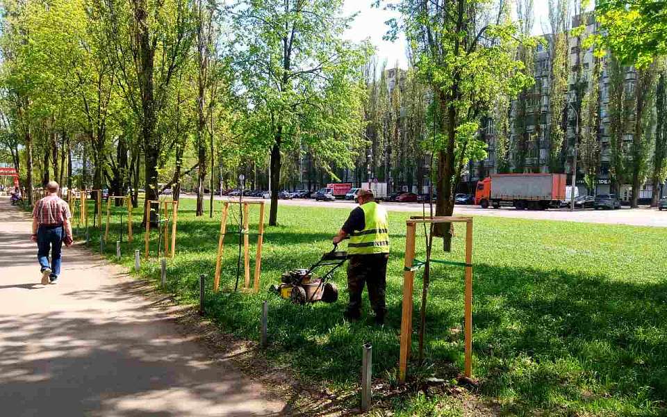 В Коминтерновском районе поливают зеленые насаждения и косят газоны