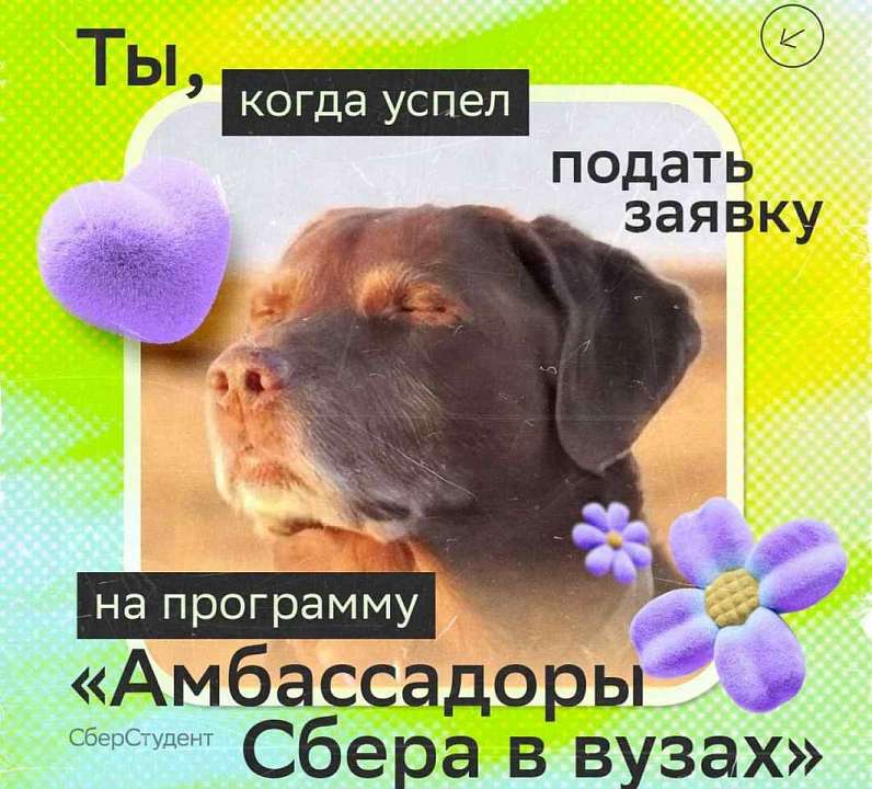   Воронежские студенты могут стать амбассадорами Сбера в вузах