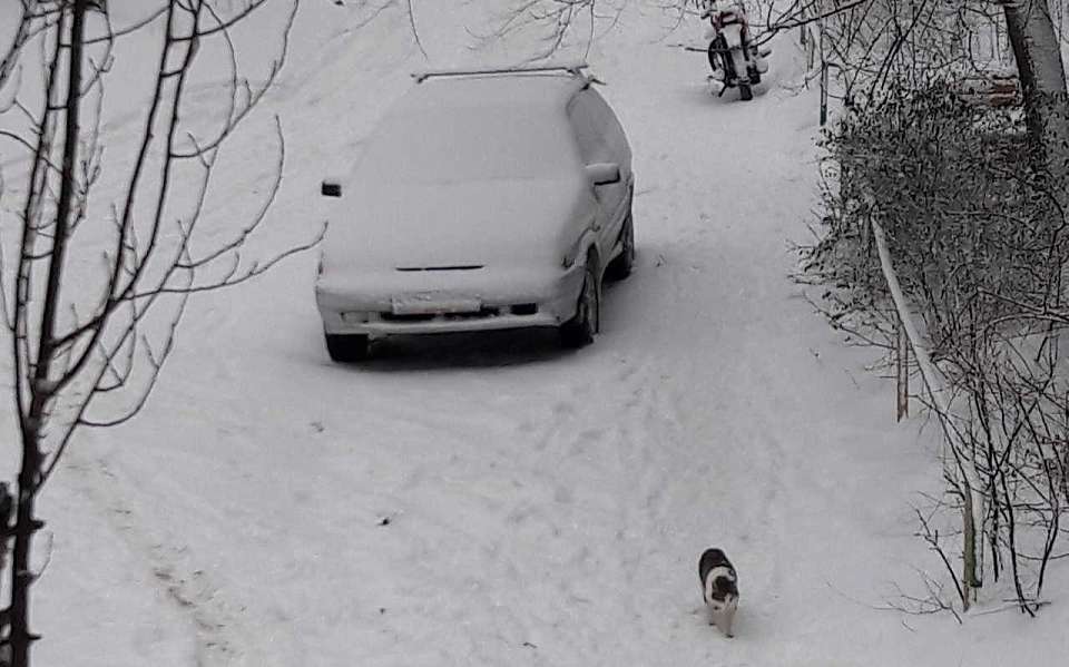 В пятницу в Воронеже будет идти снег и дуть порывистый ветер