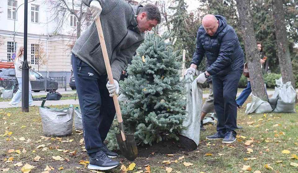 Мэр Воронежа Сергей Петрин высадил деревья в сквере Никитина