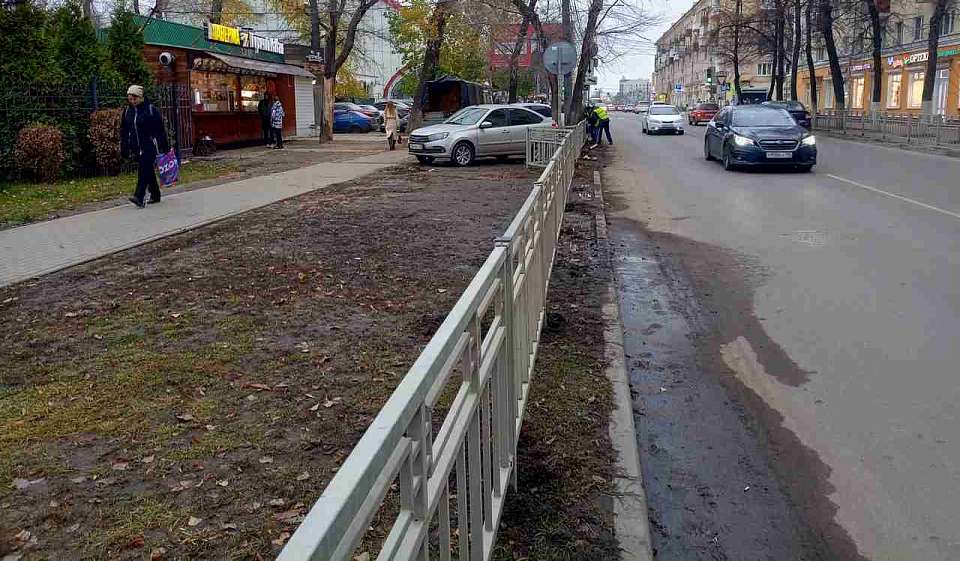 В Ленинском районе предотвращена очередная попытка «инвазии паразитов» в городское благоустройство