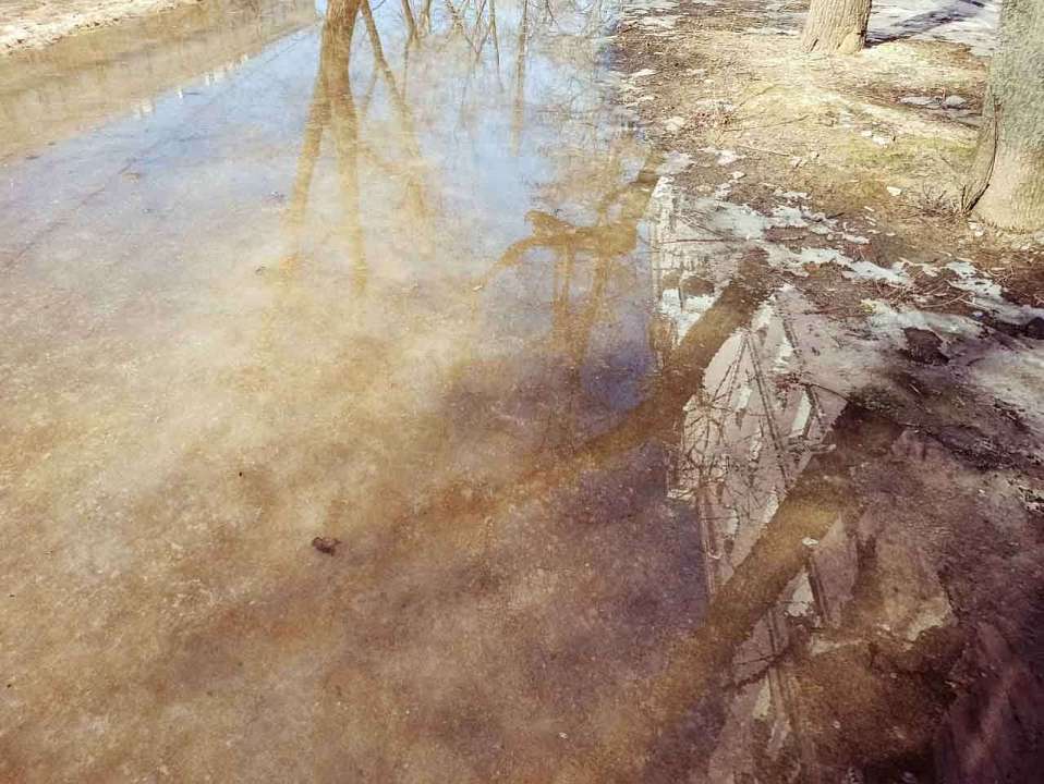 ПВР открыли для жителей воронежской Ольховатки из-за потопа