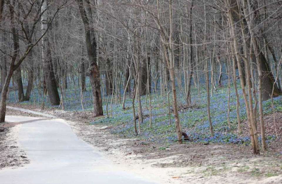 Какой будет погода в марте, рассказали воронежские синоптики