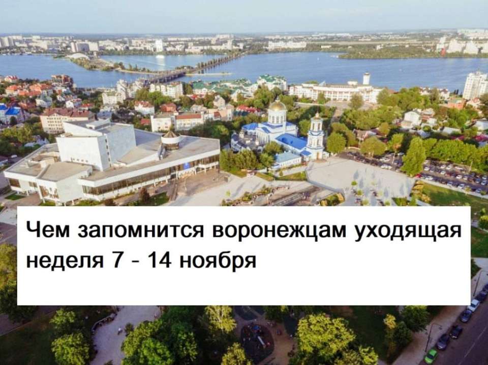 Чем запомнилась в Воронеже неделя с 7 по 14 ноября