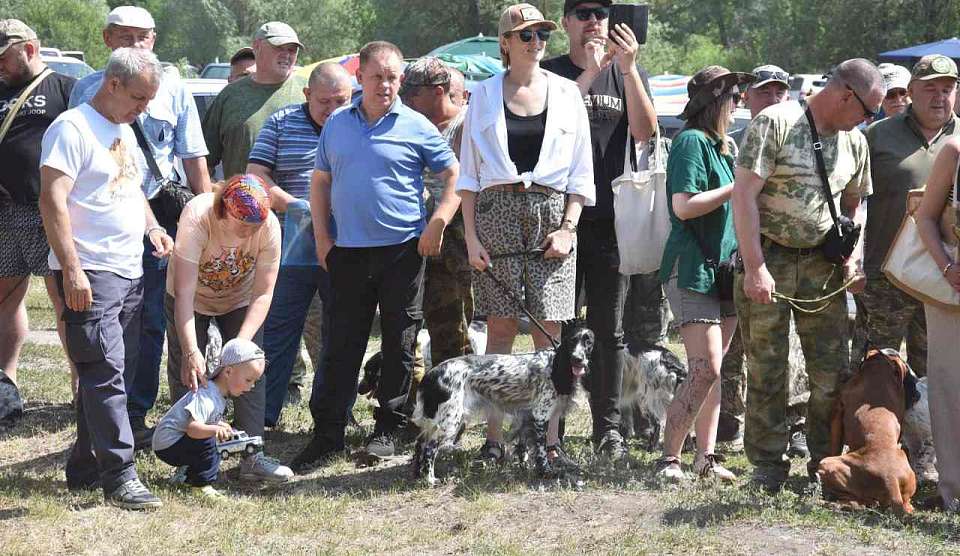 Воронеж принял областную выставку собак охотничьих пород