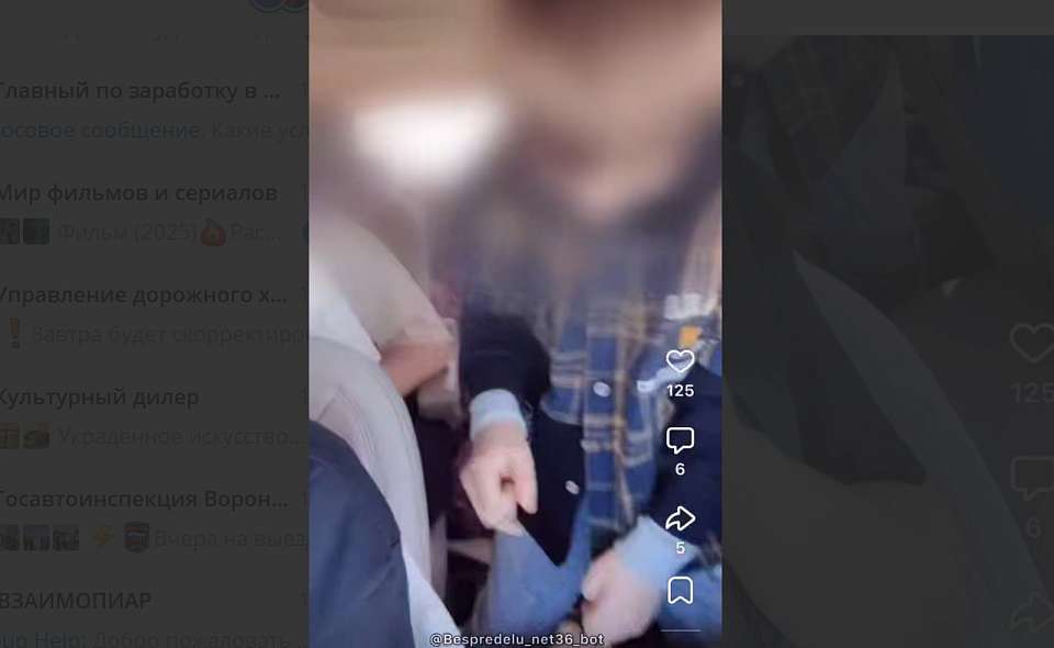 Весёлая поездка в автомобиле с ребёнком закончилась в Воронежской области невесёлым наказанием