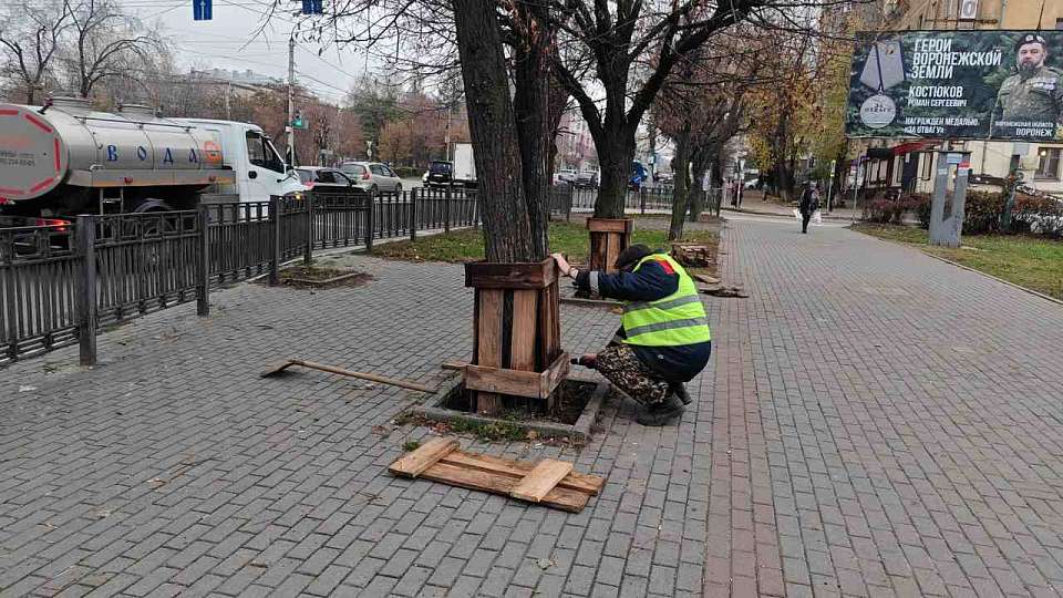 В Коминтерновском районе заботятся о деревьях