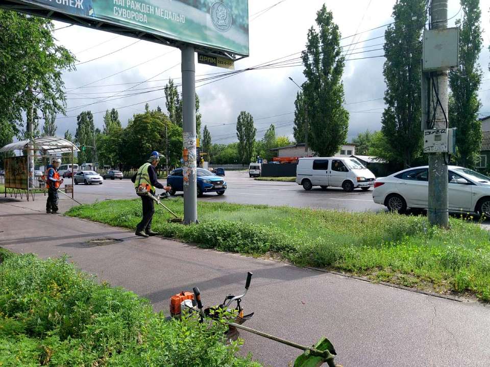 На территории района продолжается уход за газонами
