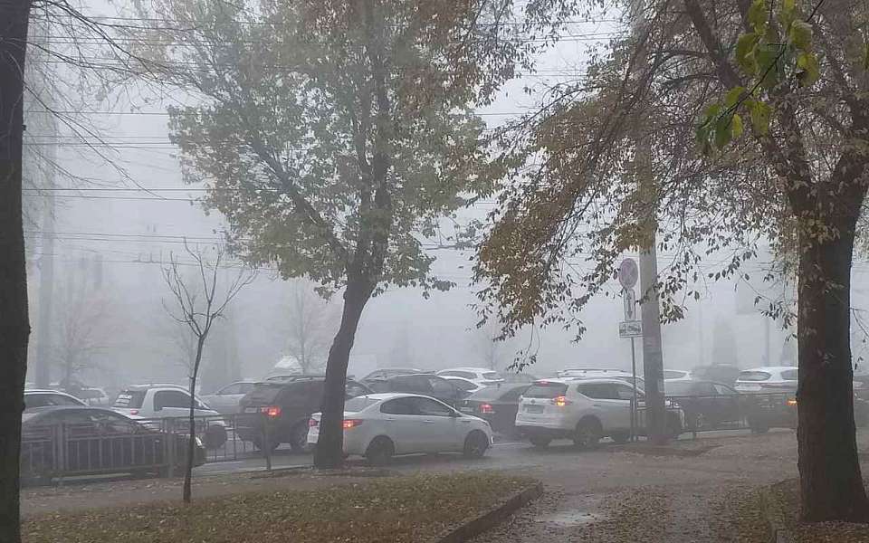 К воронежским водителям обратилась Госавтоинспекция из-за сильнейшего тумана