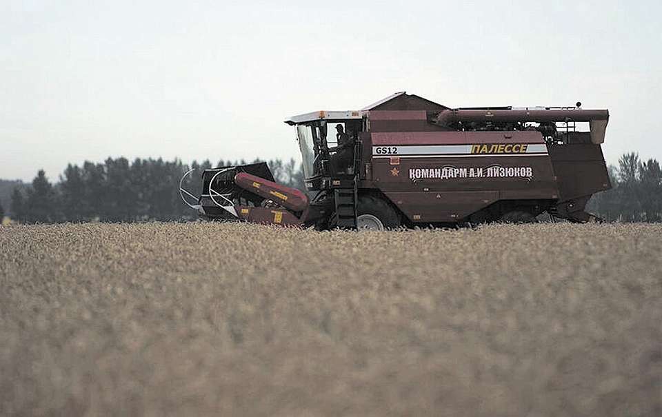 Как сложилась на воронежской земле судьба комбайна,  названного в честь командарма Александра Лизюкова