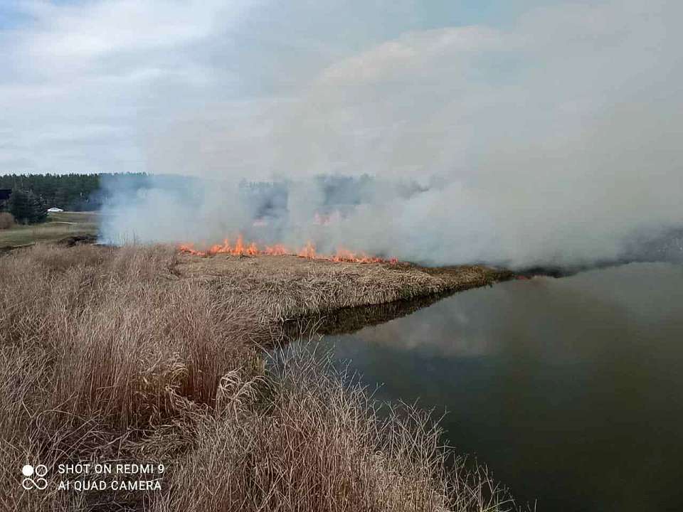 В микрорайоне Сомово выполняют контролируемый пал сухой травы