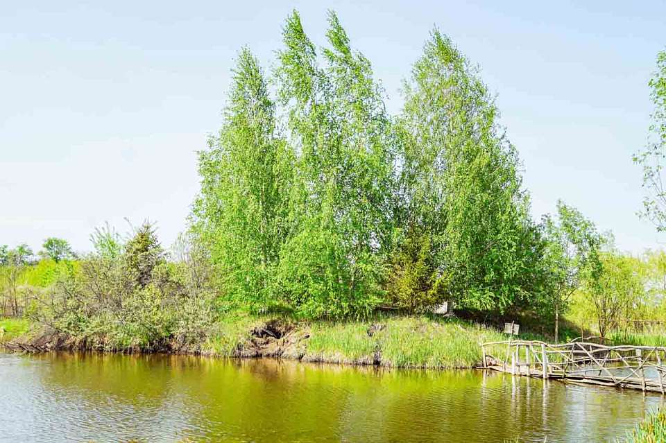 Жара до +26 градусов вернулась в Воронежскую область 4 мая