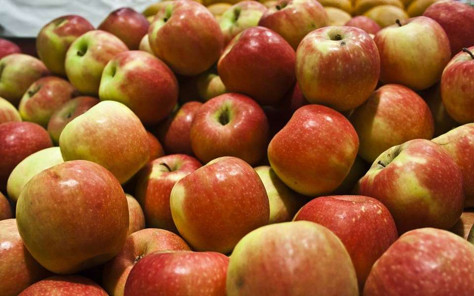 Подорожали яблоки и подешевели яйца в Воронежской области