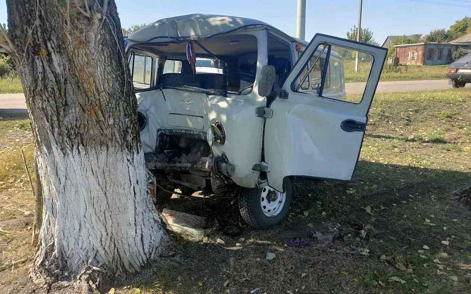 Погиб на месте водитель врезавшегося в дерево УАЗика в воронежском селе
