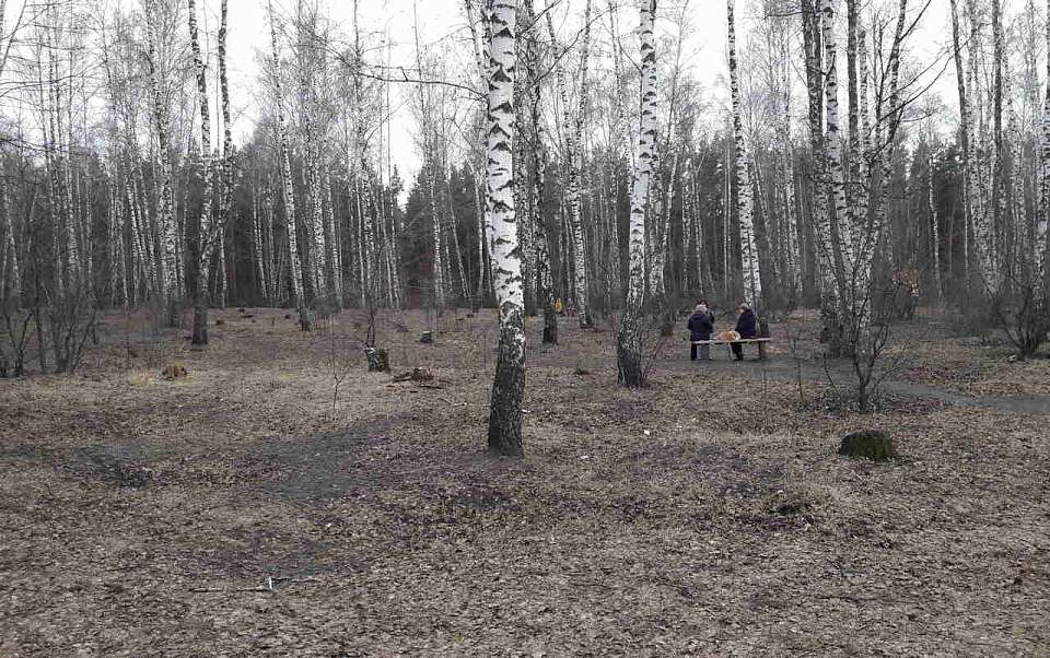 В Воронеже 9 марта отметили абсолютный температурный максимум