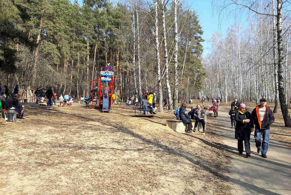Новый весенний погодный рекорд установлен в Воронеже