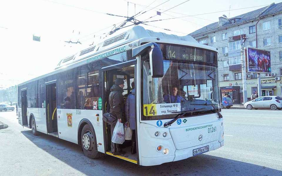 В мэрии рассказали, куда можно пожаловаться на работу общественного транспорта