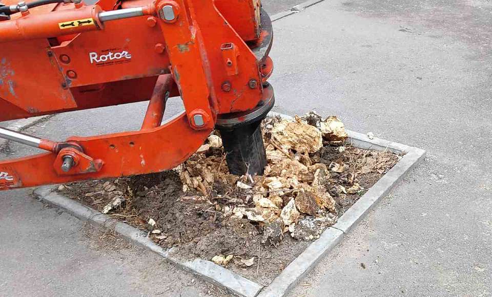 Компенсационное озеленение в Ленинском районе: шаг за шагом к здоровой экологии