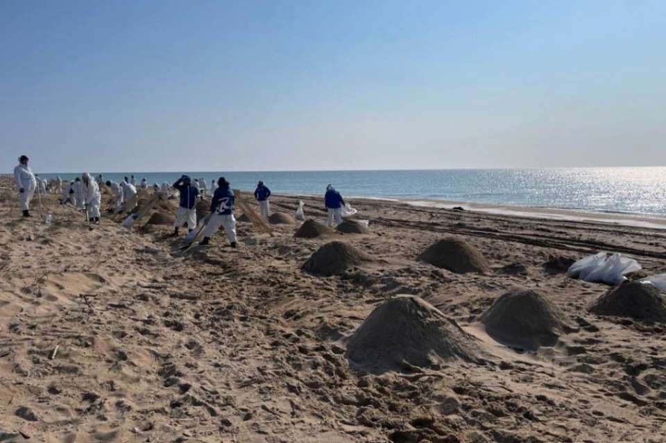 Воронежские волонтеры «Единой России» продолжают помогать в ликвидации последствий разлива нефтепродуктов в Анапе