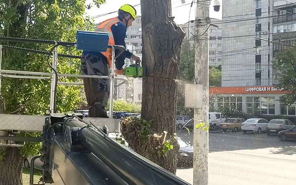 Комбинат благоустройства Железнодорожного района продолжает  ухаживать за растениями