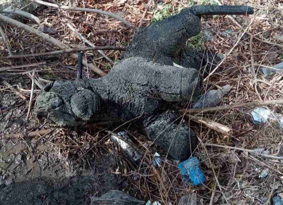 Необычный предмет вызволили из канализации специалисты РВК-Воронеж