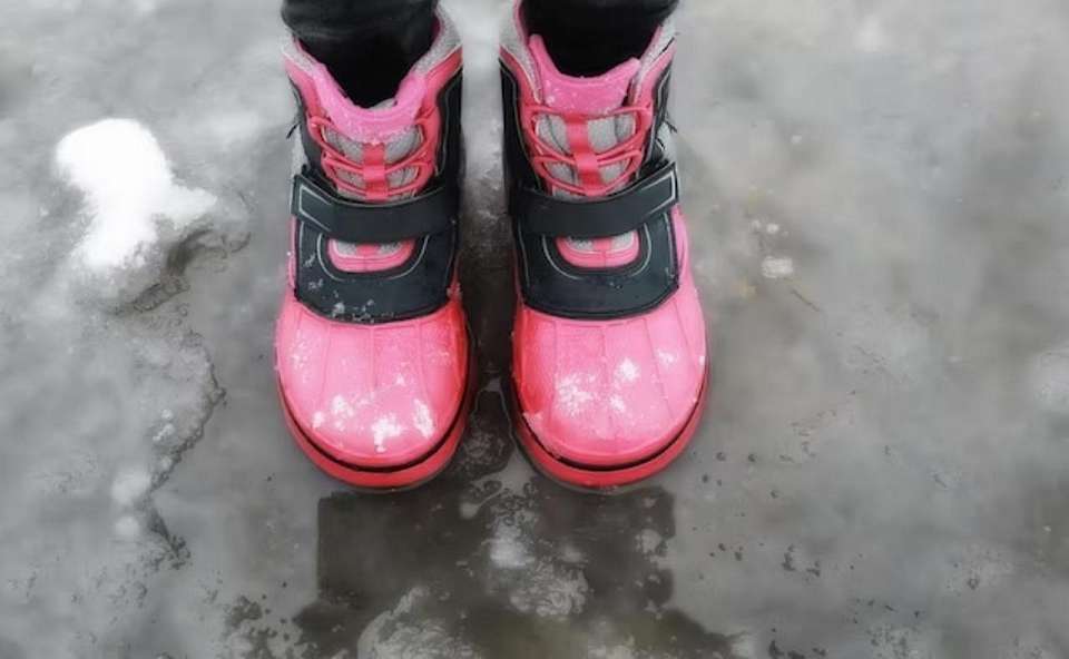 Что будет в Воронеже 12 февраля. Трехсвятие. День Дарвина. Желтый уровень погодной опасности из-за гололеда. Отбор в состав общественного совета при министерстве предпринимательства, торговли и туризма