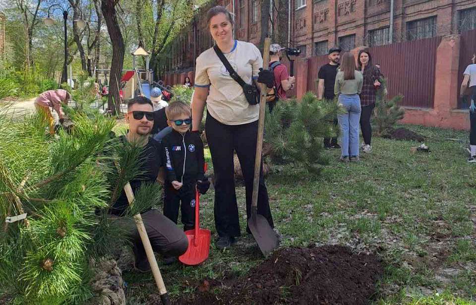 На Индустриальном бульваре в Воронеже посадили 30 сосен