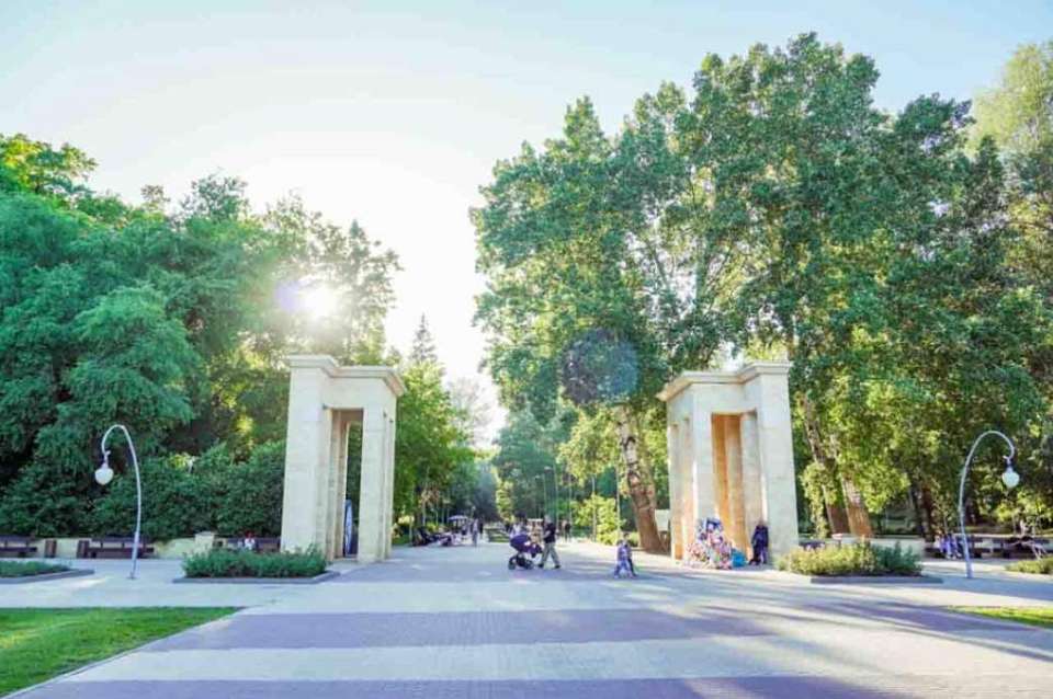 Что будет в городских парках Воронежа в субботу, 21 июня 