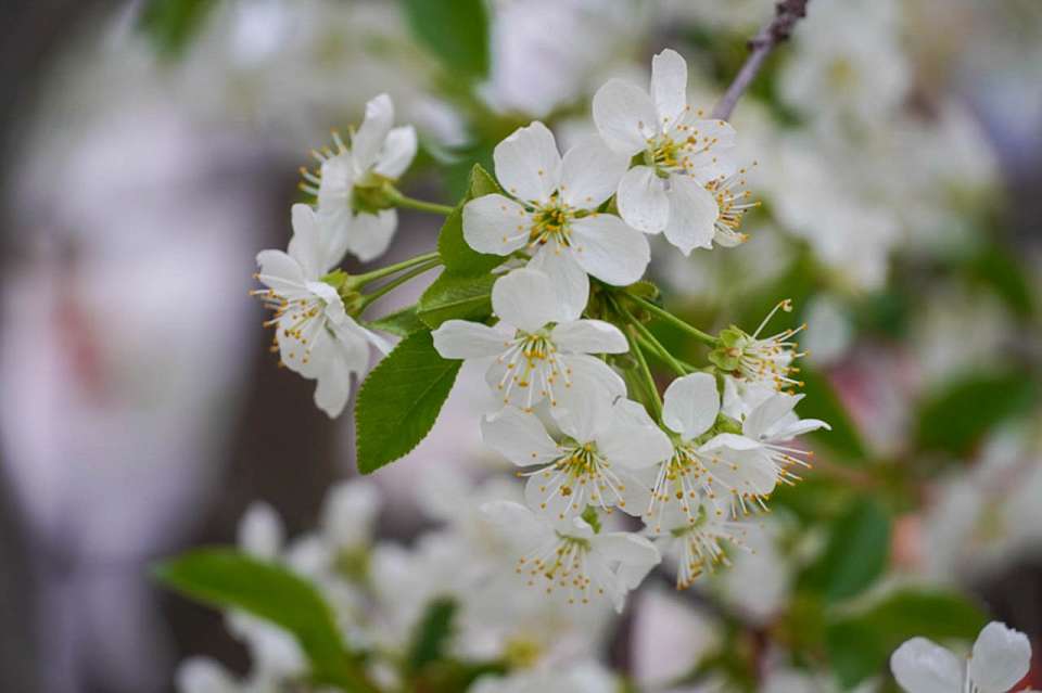 Стремительное потепление накроет Воронежскую область