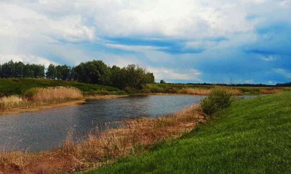 Новая особо охраняемая природная территория появится в Панинском районе Воронежской области