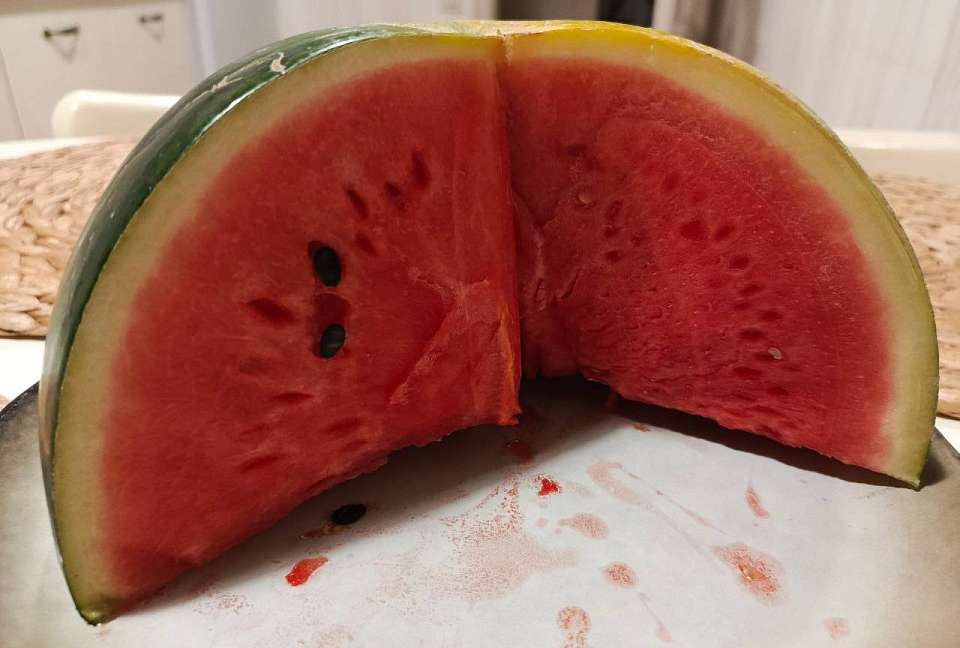 Свыше 36,4 тыс. тонн арбузов отправила за 2025 год на экспорт Воронежская область