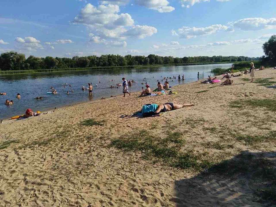 Четыре пляжа забраковали санврачи в Воронежской области