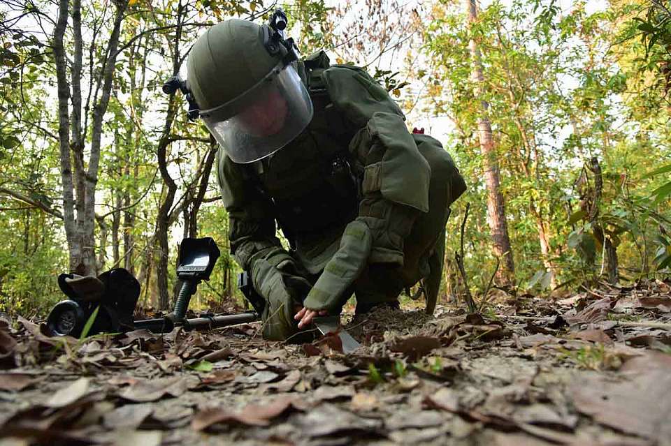 После разминирования все эвакуированные поселения Воронежской области признаны безопасными