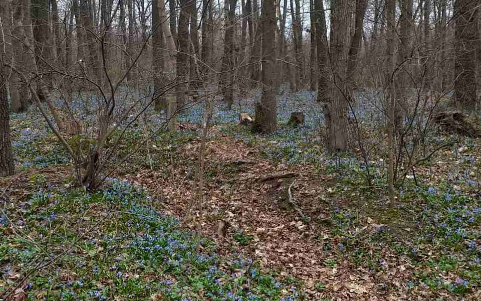 Какой будет погода во вторник, 1 апреля, рассказали воронежские синоптики
