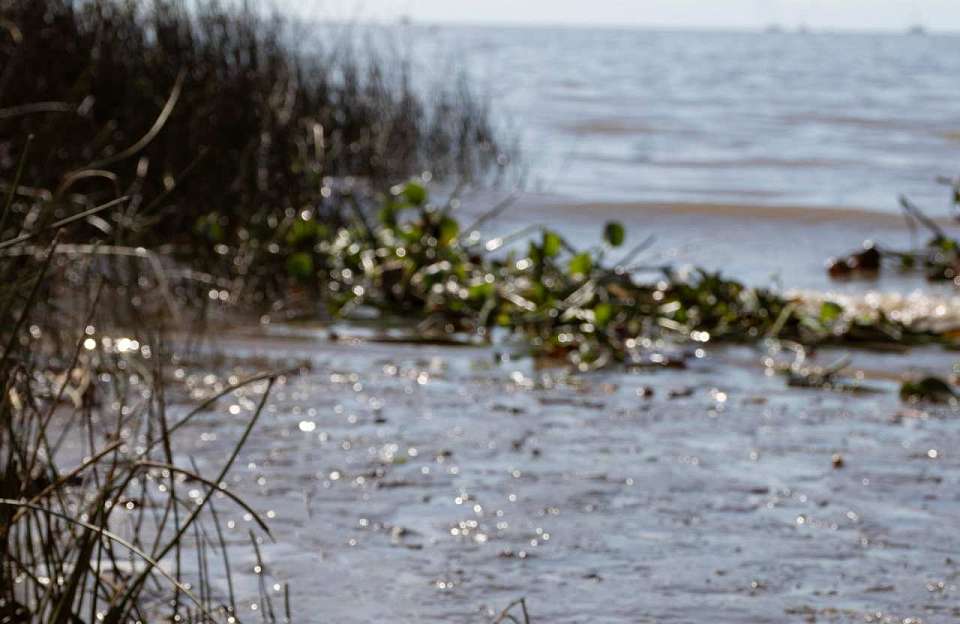 На слив отходов в пруд пожаловались жители воронежского поселка Виноградовка