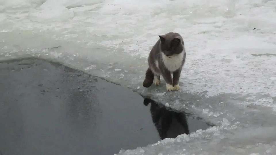 На Воронежском водохранилище толщина льда достигла 7 см