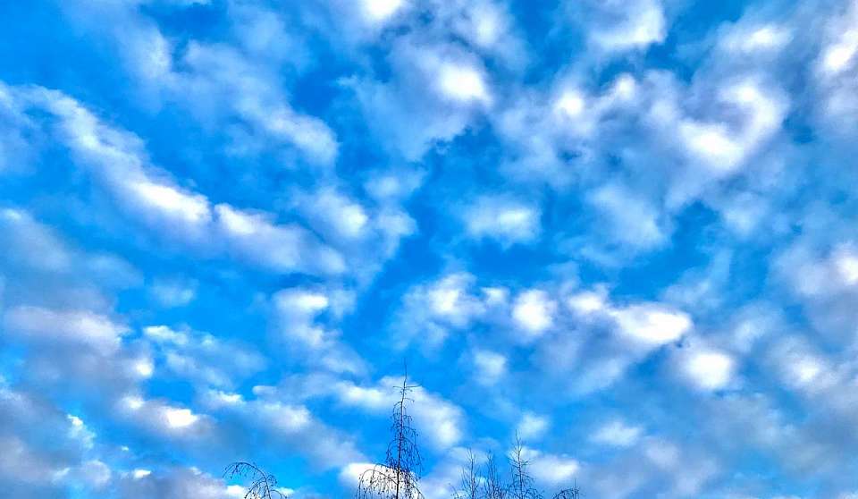 Возгорание из-за обломков БЛПА произошло на воронежском предприятии