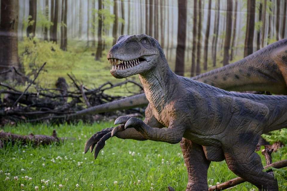 Воронежцев предупредили об обрезке деревьев в Центральном парке для установки «Динопарка»