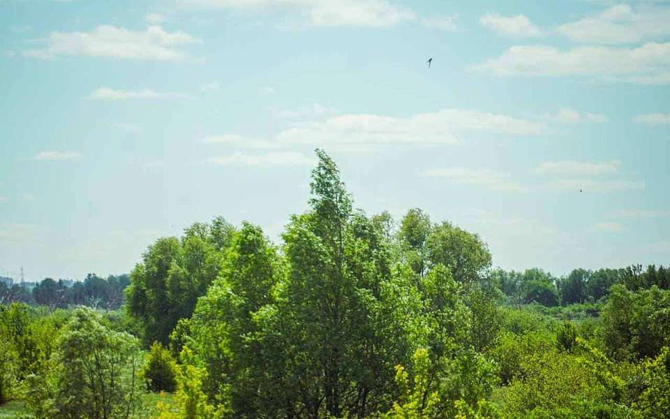 Прогноз по резкому похолоданию изменили воронежские синоптики