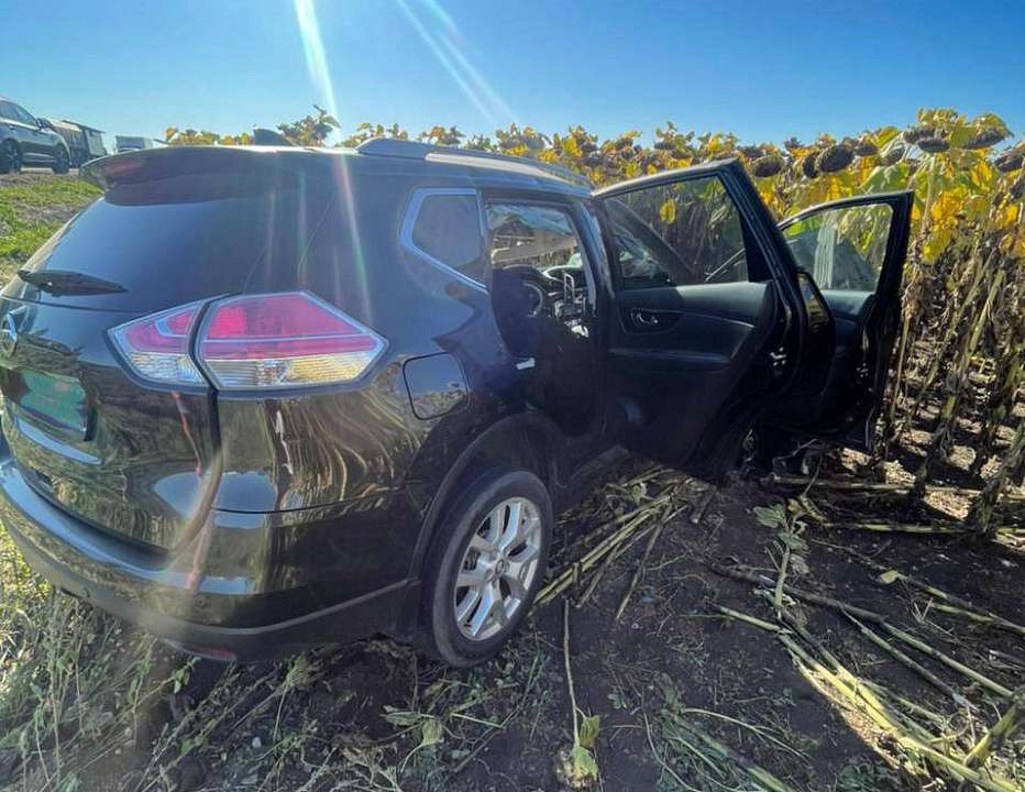 В массовом ДТП погибли пенсионеры из Курска под Воронежем