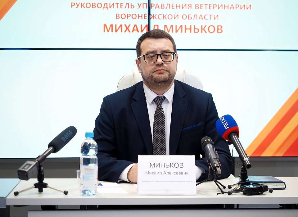 Об угрозе заноса африканской чумы и сибирской язвы предупредил главный воронежский ветеринар