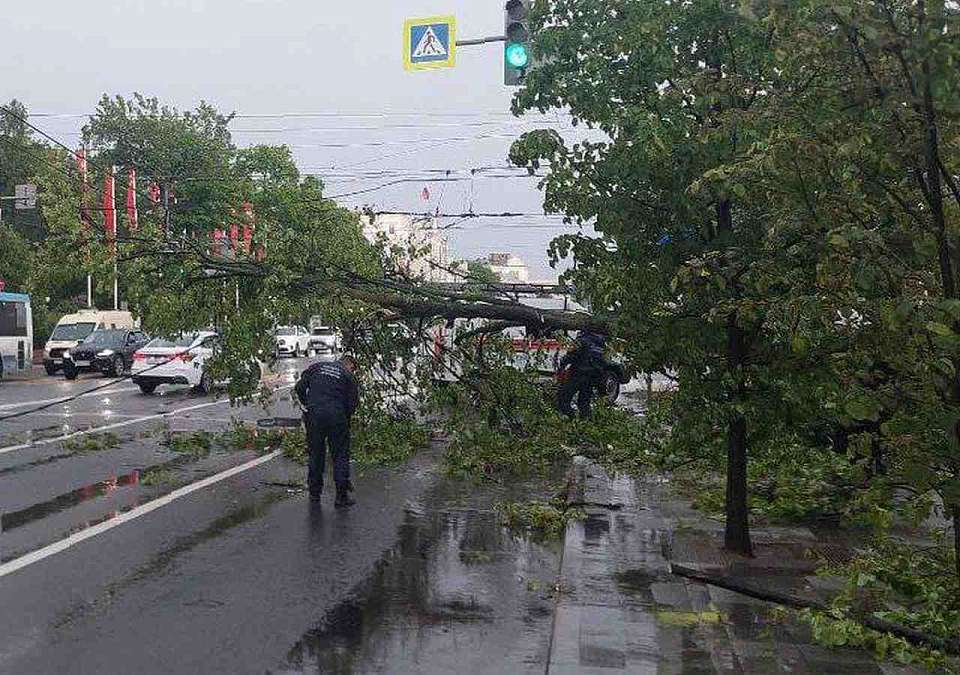 Ураган и дождь стали причинами ДТП и пробок на улицах Воронежа