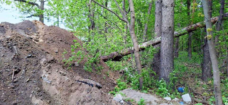 При реконструкции АЗС в заказнике под Воронежем были выявлены нарушения