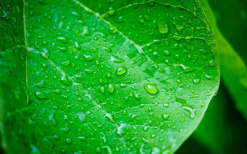 О погоде на понедельник, 19 мая, рассказали воронежские синоптики