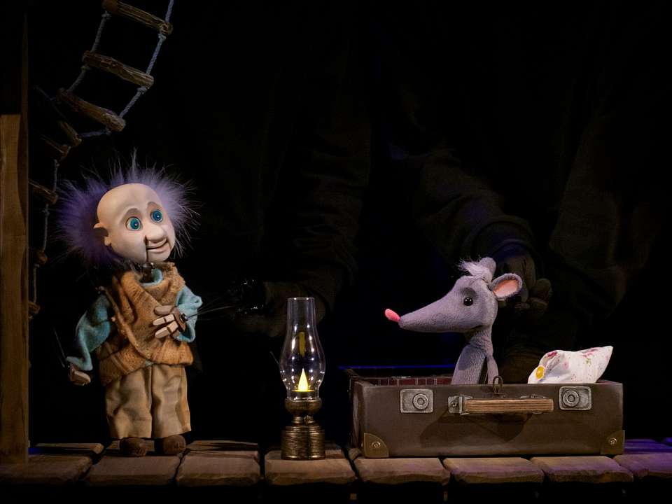 Воронежский театр кукол стал призером международного фестиваля бэби-спектаклей