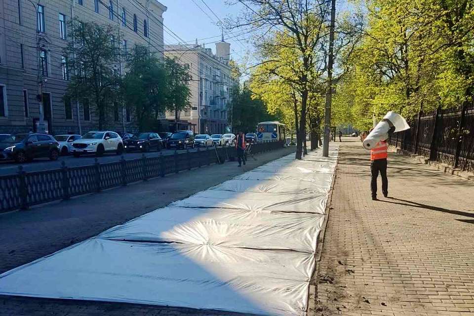 Продолжаются работы по восстановлению газонов