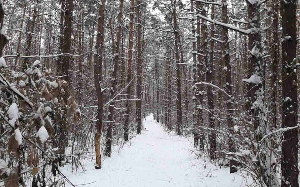 Пропали 20 человек за неделю в Воронежской области