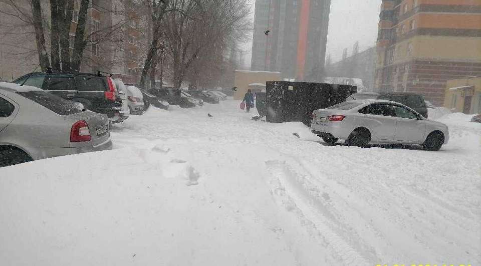 Воронежцев предупредили о проблемах с вывозом мусора из-за снегопада