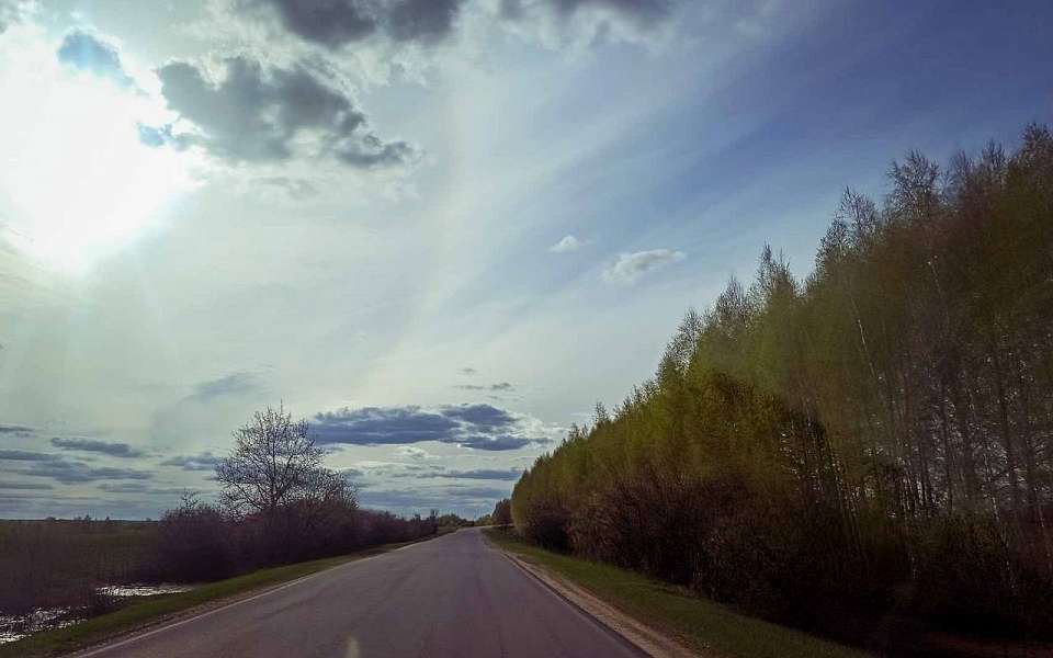 Похолодает до +10 градусов в Воронежской области