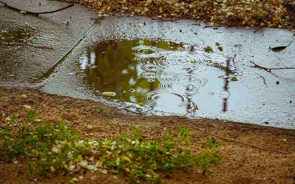 Дождливая погода установится в последнюю рабочую неделю июня в Воронежской области